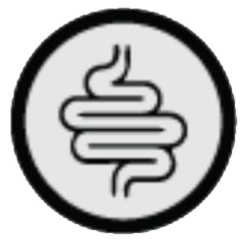 Gut Health