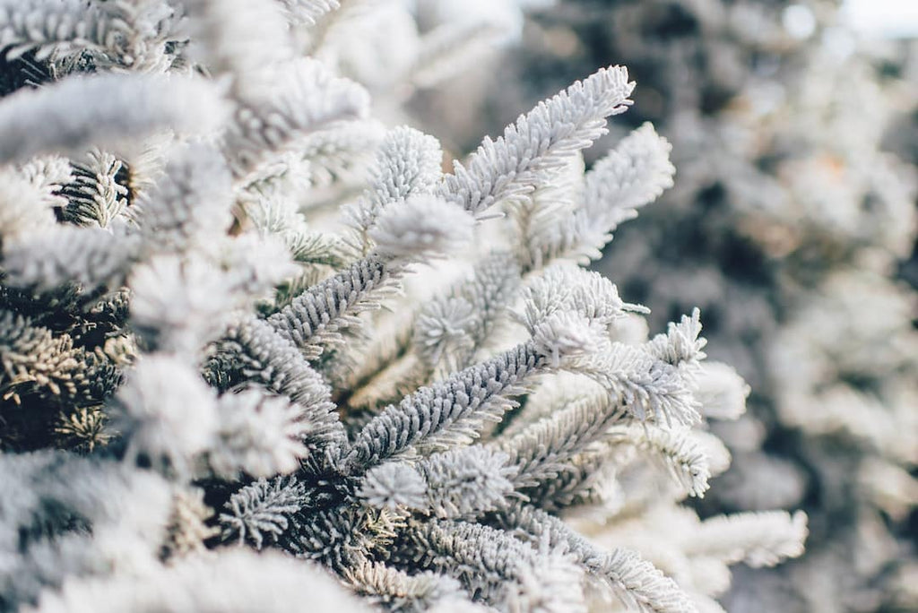 The Significance of Hydration: Supplement Suggestions for the Arid Winter Season