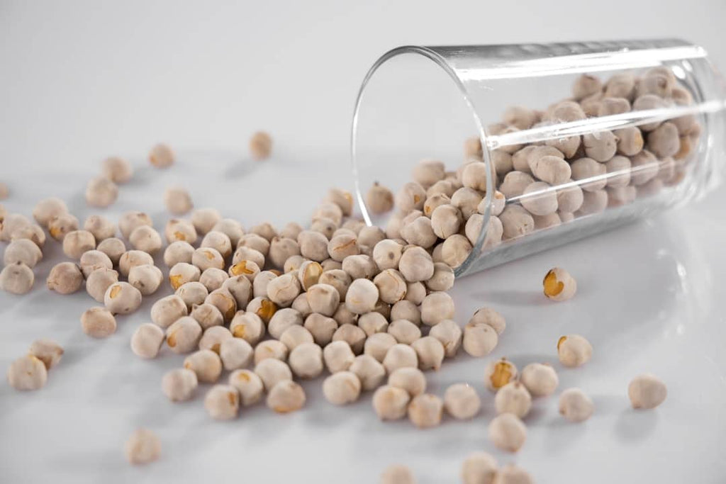 "Exploring the Versatility of Soya Protein in Sports Nutrition"