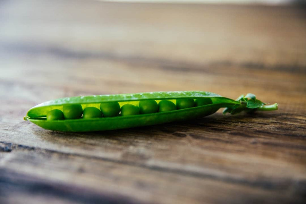 Delectable Pea Protein Recipes for Athletes: The Taste Test