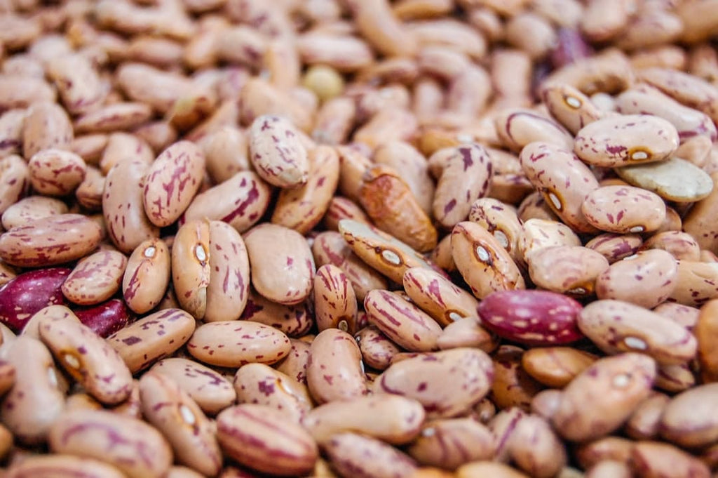"From Soya to Strength: Maximising Your Protein Intake"