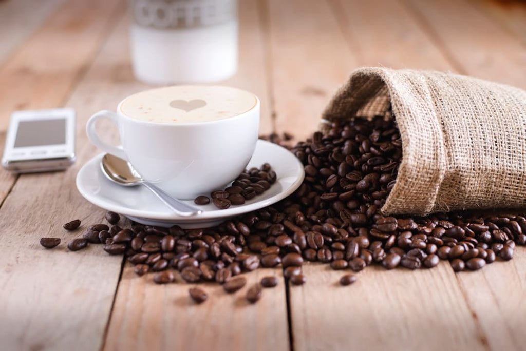 "The Ultimate Guide to Faba Bean Protein Supplements"